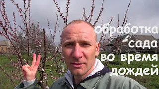 Опрыскивание в дождливую погоду