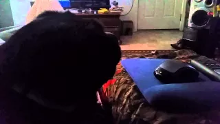 Dog Reacts to Women Smokes Flakka