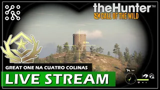 LIVE STREAM - GO na Cuatro Colinas | The Hunter: Call of the wild CZ  | Lets play | Česky