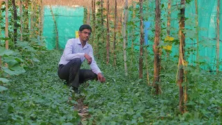 How can a small farmer earn Rs 15 lakh from multilayer farming?