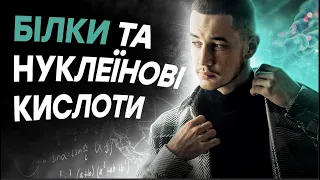 БІЛКИ ТА НУКЛЕЇНОВІ КИСЛОТИ | БІОЛОГІЯ | БЕЗКОШТОВНИЙ МАРАФОН