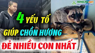 Nắm Được 4 Điều Này Đảm Bảo Nuôi Chồn Hương Sinh Sản Rất Nhiều Nhanh Lớn