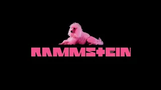 Rammstein - Pussy 432hz