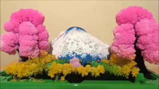 Magic Growing Garden Crystal Landscape - Time Lapse