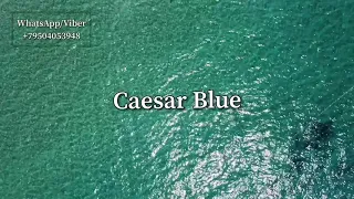 Северный Кипр Комплекс Цезарь Блу / Caesar Blue