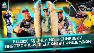 PAL 2020. 38 дней на тренировки. Иностранный агент Антон Фишерман. VOLGA BAITS TEAM