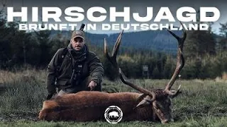 Hirschjagd - Brunft in Deutschland