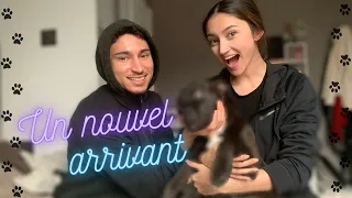 Le nouveau membre de la famille !