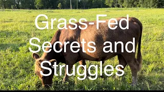 Grass-Fed Beef,  Secrets and Struggles