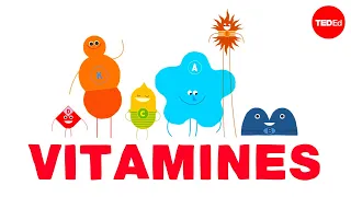 Comment fonctionnent les vitamines ? – Ginnie Trinh Nguyen