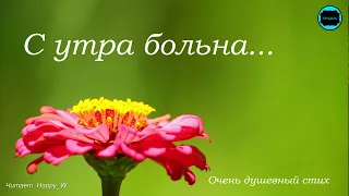 Стих "Хорошее настроение..." Читает HappyW