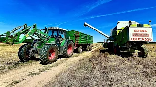 ☆Żniwa 2022☆ Koszenie Mieszanki ☆ Nowy Nabytek ☆ CLAAS Dominator 208 Mega, Fendt Vario 714☆