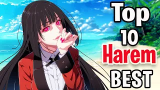 Top 10 Best Harem Anime (HINDI)