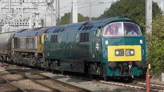 Class 52 D1015 'Western Champion' on Loaded Freight at Bristol Parkway 17/09/21