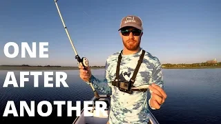 Florida's #1 Fish catcher (how to use a jerkbait)