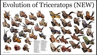 Evolution of Triceratops LIVE Lecture with Q&A