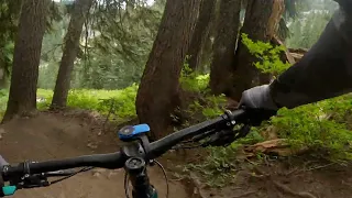 20220813 POV - Stevens Pass Lichen It Trail (Blue Tech)