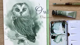 Paint an owl with me ｜Easy Watercolor Painting Step by Step