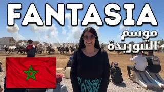 Moroccan Fantasia Event - Sidi Bettache 2024 [موسم تبوريدة]