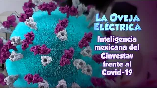 La oveja eléctrica. Inteligencia mexicana del Cinvestav frente al Covid-19