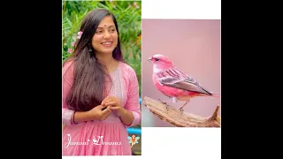 all Sun TV heroines VS bird #JananiDreams