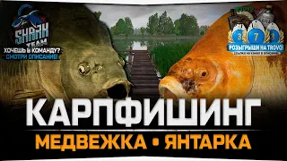 Ловля Карпа, Амура • Медвежье озеро • Янтарное озеро • Русская Рыбалка 4