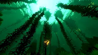 Subnautica - Kelp Forest Day Ambiance (sea creatures, soft music, bubbles, ocean)