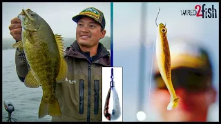 Drop Shotting Swimbaits for Bass | Zaldain’s How and When