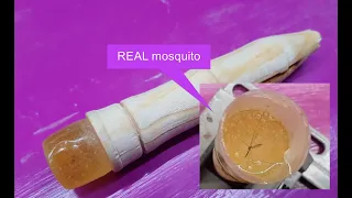 Jurassic Park's mosquito in amber MINI cane