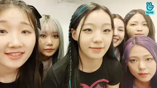 [ENG/INDO SUB] 'LAPILLUS' LIVE VLIVE (2022.08.11) LAPILLUS VLIVE 2022