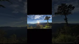 Sunrise at Alishan #content #travel #alishan #create #taiwantourism #trending #vlog #sunrise