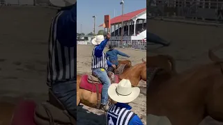 Derrick Begay winning team roping #winnerswin #teamroping @Equibrand