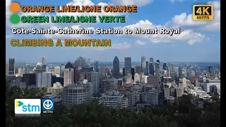 Montreal Metro POV Walk: Côte-Sainte-Catherine Station to Mount Royal Via Peel Station【4K】