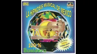 EL PERRO LANUDO GRUPO TAURUS