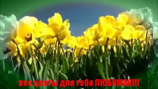 самое оригинальное поздравление с 8 МАРТА!(НОВИНКА)