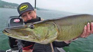 We Found A School Of Musky In Clear Water!!