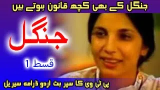 Jungle Episode 1 PTV Classic Urdu Drama