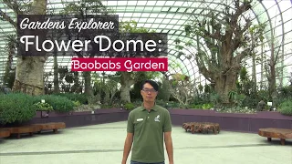 EP 09- Gardens Explorer: Flower Dome - Baobabs Garden