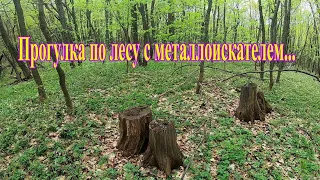 Просто прогулка по лесу с металлоискателем!