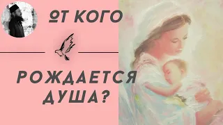 От кого зависит рождение души?Максим Каскун