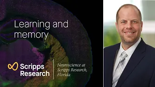 Learning and memory: neuroscience at Scripps Research, Florida