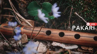 Pakari - Instrumental music of the Andes