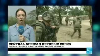 Central African Republic: Amnesty International warns 'ethnic cleansing' taking place