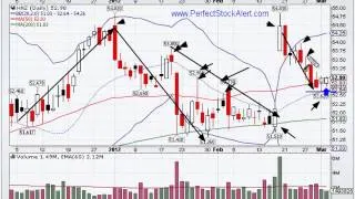 Stock Alert Video 03-02-2012