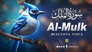 Surah Al Mulk سورة الملك | Peaceful Soft Relaxing Voice | Zikrullah TV