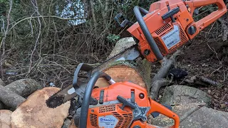 262xp V 560xp 60cc chainsaw battle! Husqvarna Factory hotrod or Autotune ?