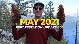 Planting Trees on the West Coast for Earth Day | Reforestation Updates Episode 6 | One Tree Planted