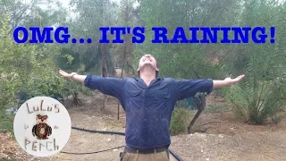 Rainwater Harvesting in the Desert | Greening the Desert