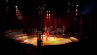 Circus Crocofant 2015 "toller Programm clip"/fabuleux