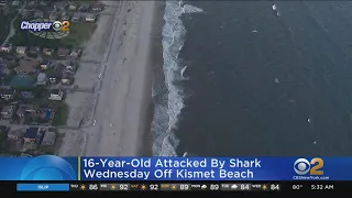 Teenage surfer latest shark attack victim off Long Island